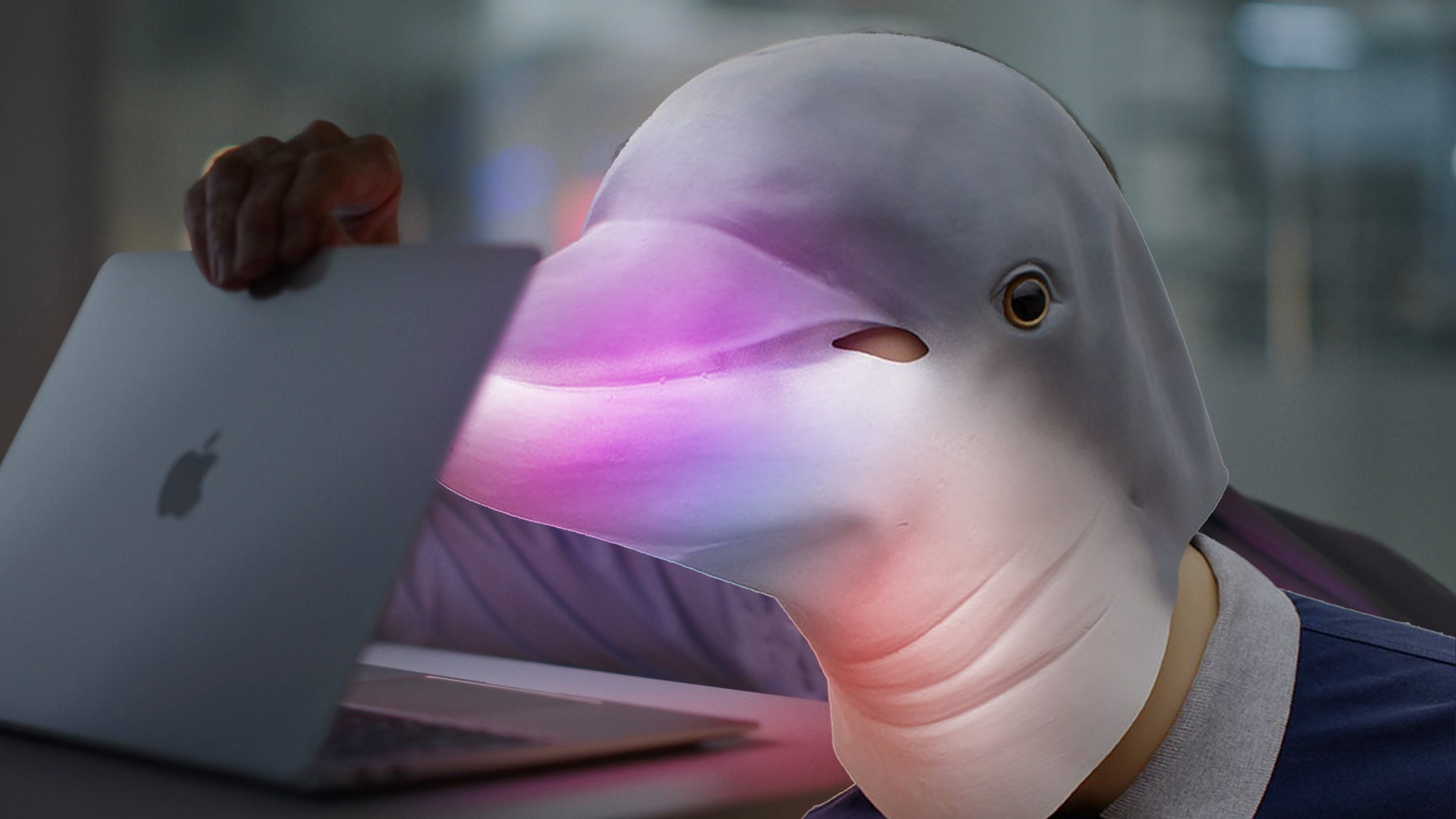 dolphin emulator review mac